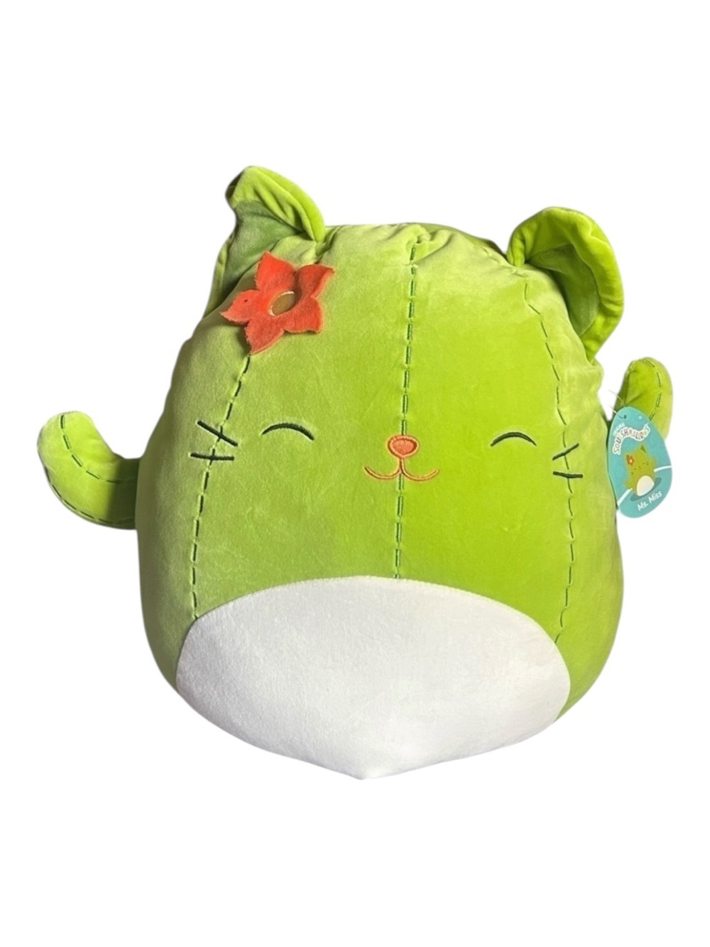 NEW Squishmallows 16” Ms. Miss Cactus Plush Stuffie